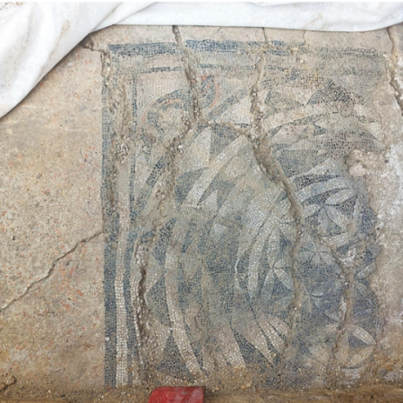 Une mosaïque exceptionnelle révèle une nouvelle page de l&rsquo;histoire antique de la ville
