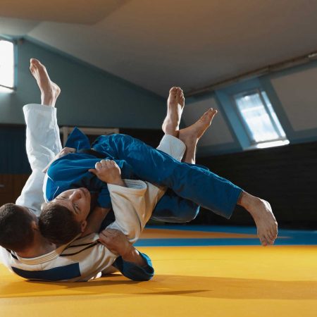 Des sessions de Yoseikan Budo et de Judo pour les personnes atteintes de handicap