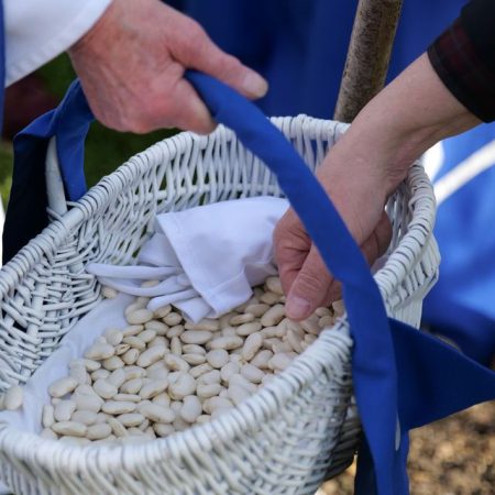 Le Haricot de Soissons : une légumineuse de légende au cœur de notre histoire